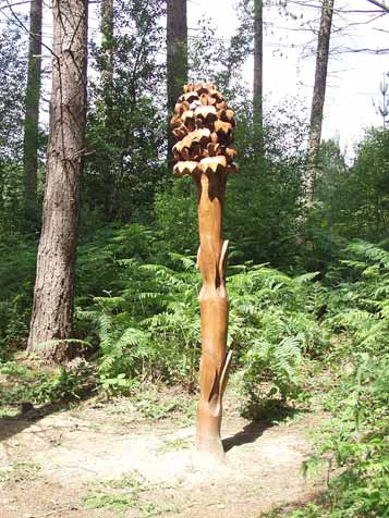 A wooden celebration of wood