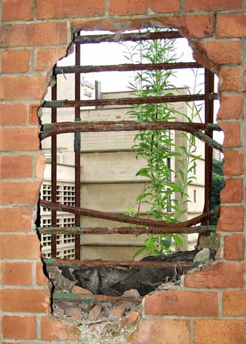 Copthorne through hole in old warehouse wall