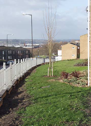 Buddle Road New housing