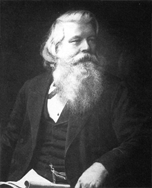 Joseph Swan Portrait